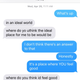Screenshot via Lacey Donohue.